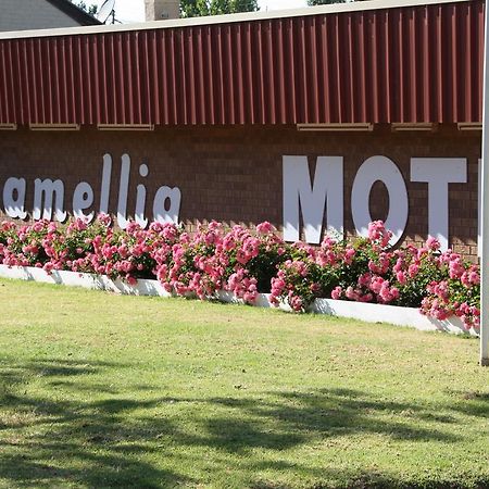 נאראנדרה Camellia Motel מראה חיצוני תמונה