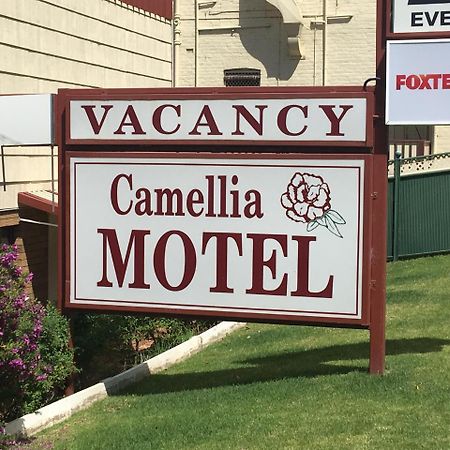 נאראנדרה Camellia Motel מראה חיצוני תמונה