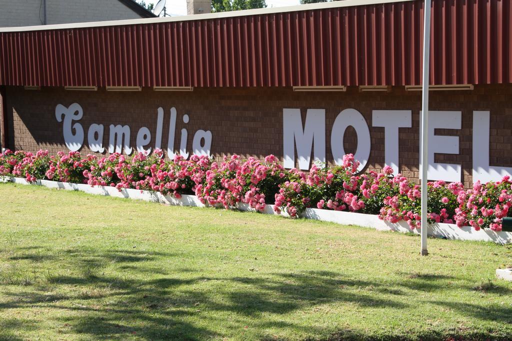 נאראנדרה Camellia Motel מראה חיצוני תמונה